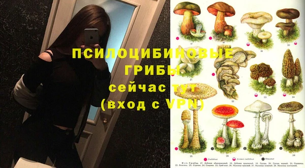марихуана Нефтекумск