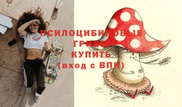 альфа пвп Надым