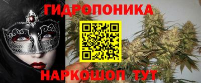 ГАЛЛЮЦИНОГЕННЫЕ ГРИБЫ Гагарин