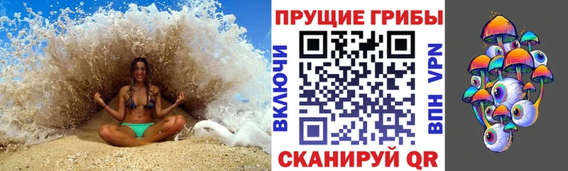 Псилоцибиновые грибы Psilocybine cubensis  Киржач 