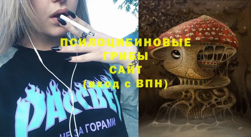 Галлюциногенные грибы Cubensis Киржач