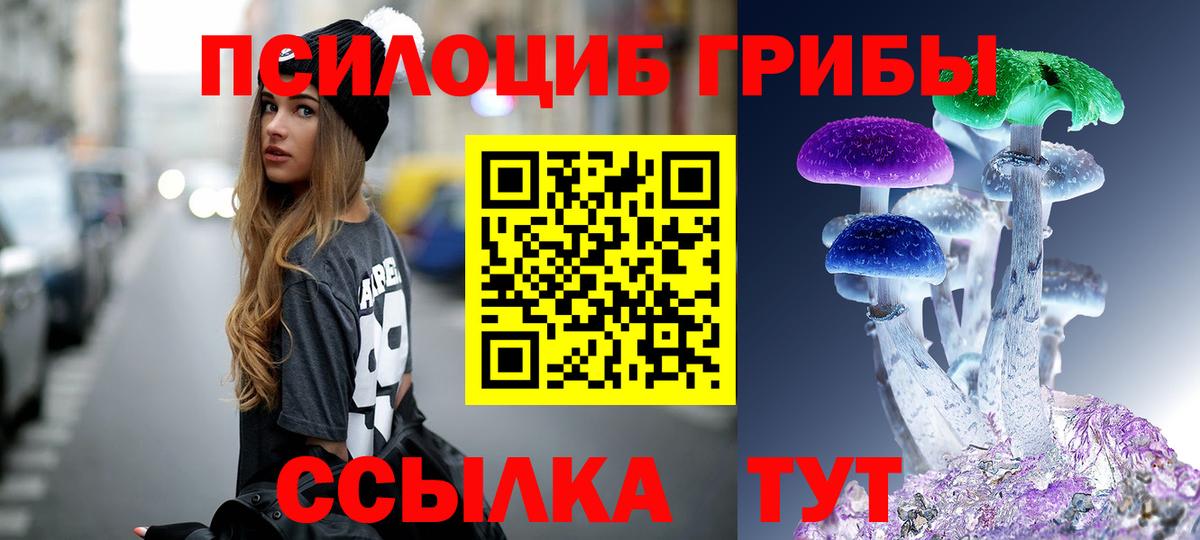 Псилоцибиновые грибы GOLDEN TEACHER  Вход с VPN  Галлюциногенные грибы Cubensis  продажа наркотиков  Киржач 